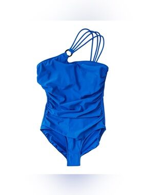 NWT aerin Rose Tummy Control Swimsuit Size 14/DD